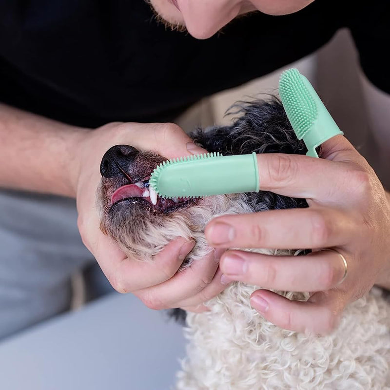 Dog Finger Toothbrush, 6 Pack Cat Toothbrushes, Two Finger Toothbrush for Pet's Dental Care Teeth Cleaning - PawsPlanet Australia
