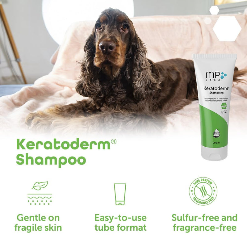 Keratoderm® Dermatology Shampoo for Dogs & Cats – Veterinary Skin Care for Greasy, Flaky & Scaly Skin – Advanced Keratolytic & Sebum-Balancing Formula – 200ml Leak-Proof Tube - PawsPlanet Australia