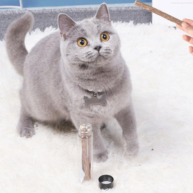 Dental Sticks for Cats and Dogs, 5 pieces, with catnip and bottle. Suitable for kittens and dogs for teeth cleaning and chewing.