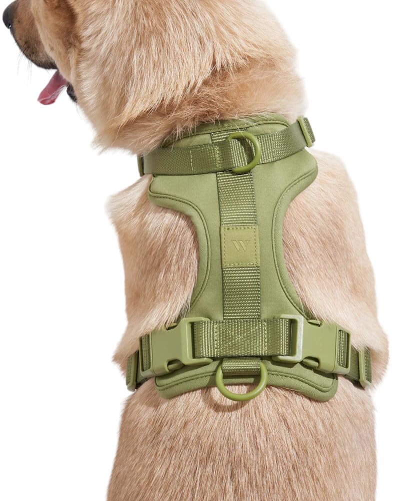Wild One Dog Harness, No-Pull Pet Harness with 3 Leash Clips, Adjustable Soft Padded Dog Vest, Comfortable, Stretchy (Moss, Large) - PawsPlanet Australia