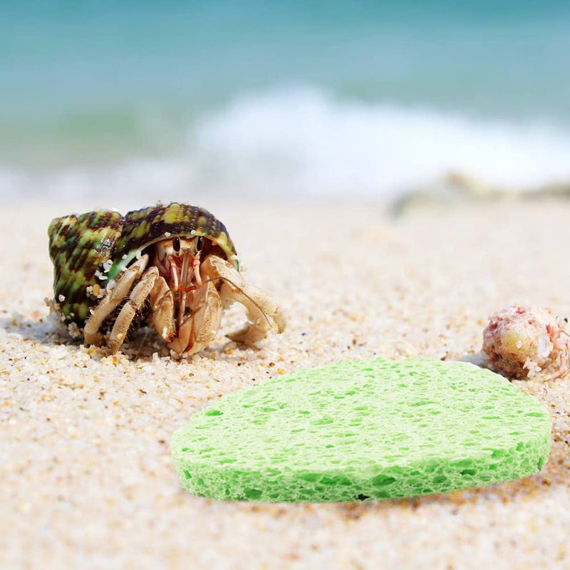kcrygogo Hermit Crab Green Sponge Hermit Crab Accessories for Maintaining Hermit Crab Tank Humidity Supplies(10pcs) - PawsPlanet Australia