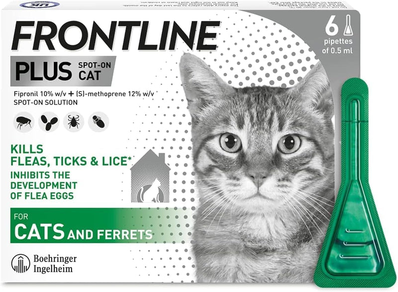 Frontline PLUS Spot On Cat Flea Treatment, 6 pipettes - PawsPlanet Australia