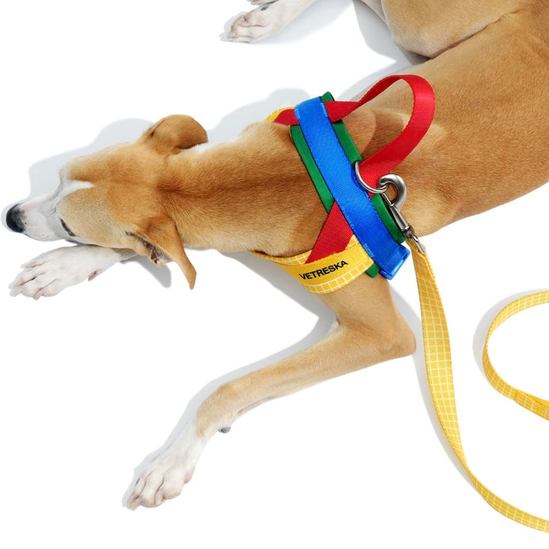 VETRESKA MoMA Dog Harness for Medium Large Dogs, Easy Walk Dog Harness and Leash Set, No Pull Dog Vest Harness for Walking and Training, Adjustable, Take Control & Anti-Twist Pet Lead Combo(Yellow, M) M(Chest: 24.0"-31.9") Chroma Yellow - PawsPlanet Australia