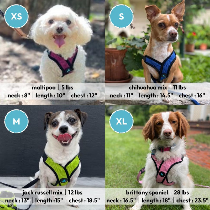 Gooby Comfort X Step in Lite Dog Harness - Choke Free, Escape Free with Light Breathable Mesh - Step in Dog Harness for Small Dogs Only - Quick Release Buckle, Metal D-Rings - Pink, Medium Medium (16-20") - PawsPlanet Australia
