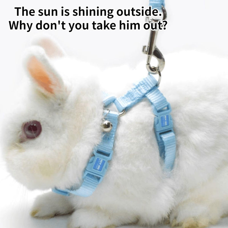 Rabbit Bunny Harness with Leash Adjustable Soft Nylon Harness Rabbit Vest Harness Lead Leash Pink Blue Lead Leash All Season for Small Animals (Blue,S) S - PawsPlanet Australia