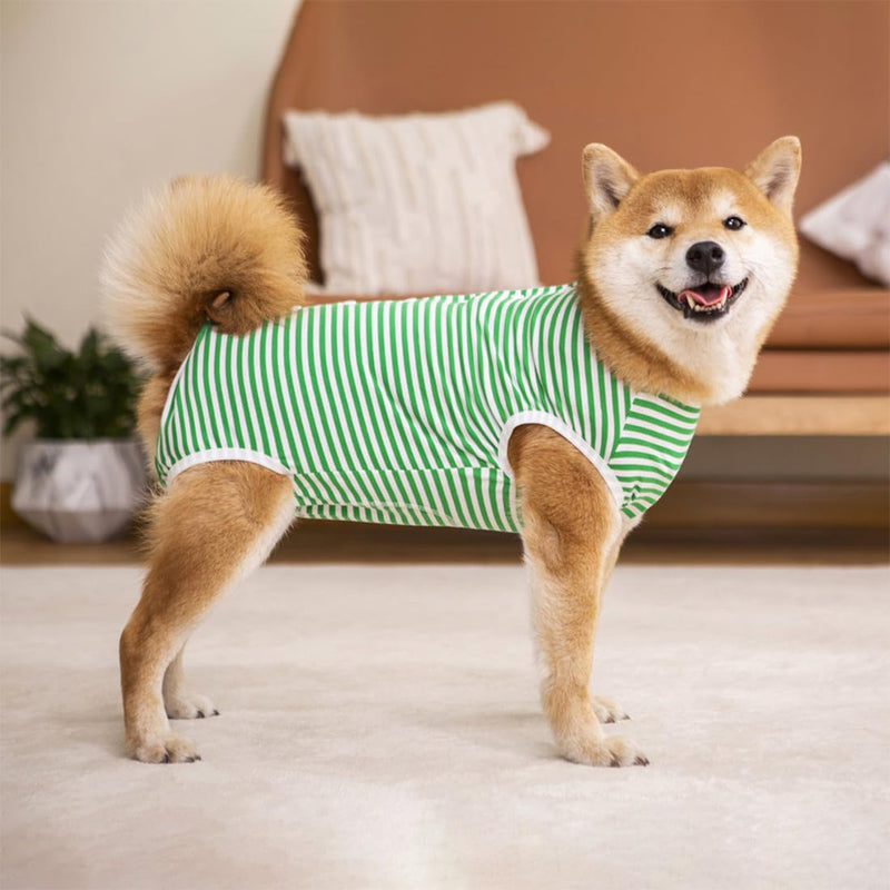 Dog Bodysuit After Surgery Castration Wound Protection Suits for Dogs, Dog Onesie, Breathable, Anti-Licking, Wound Protection, Professional Pet Recovery Suit Dog Medical Shirt
