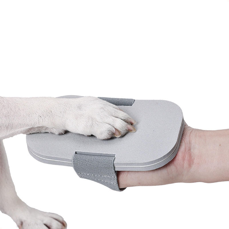Dog Nail Grinding Board for Nail Grooming Dogs Nail Scratcher Pad NailTrimmers Board Dog Nail Caring Nail Grooming Tool Cats Nail File Scratching Board - PawsPlanet Australia