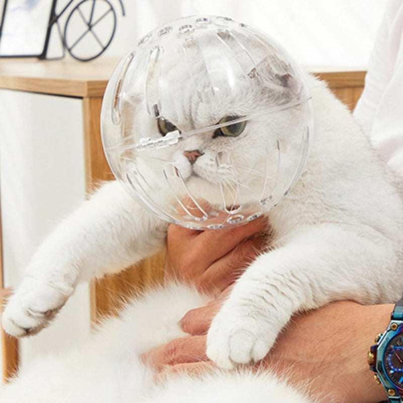 POPETPOP Breathable ABS Cat Helmet with Adjustable Bite Guard for Cats After Surgery for Safe Recovery and Protection from Bites