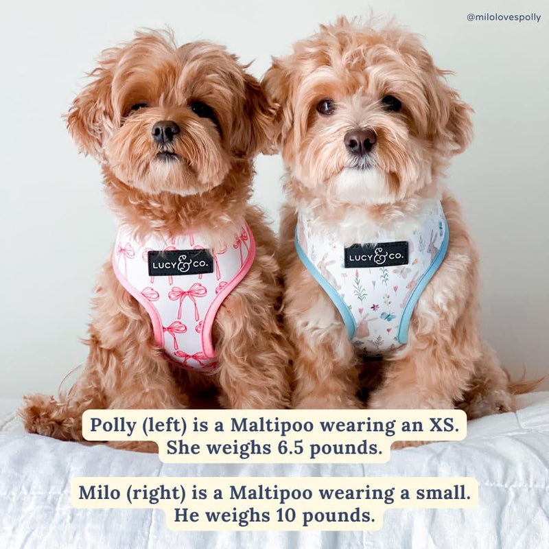 Lucy & Co. Cute Reversible Dog Harness Walking Halter - Best Designer Pet Harnesses for XS - XL Dogs - Padded Adjustable Vest for Easy Walking (Medium, Ballet Bows - White & Pink Bows) Medium The Take a Bow Dog Harness - PawsPlanet Australia
