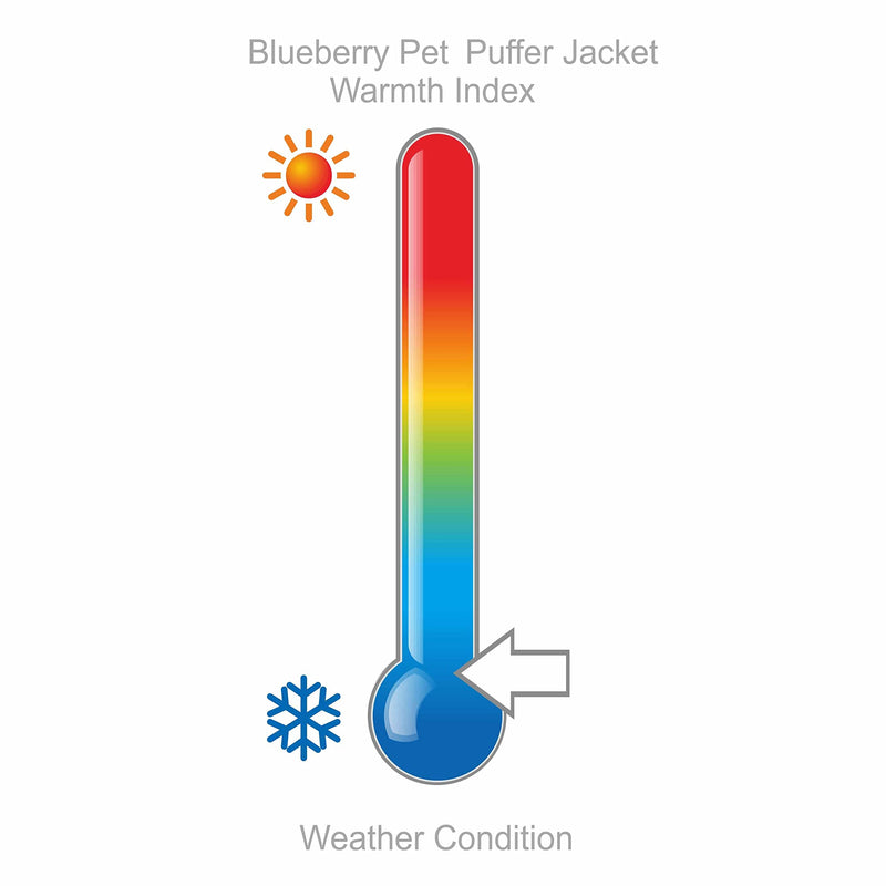 Blueberry Pet Cozy & Comfy Windproof Waterproof Quilted Fall Winter Dog Puffer Jacket in Pink, Back Length 12", Size 10", Warm Coat for Small Dogs Size 10 (Pack of 1) - PawsPlanet Australia