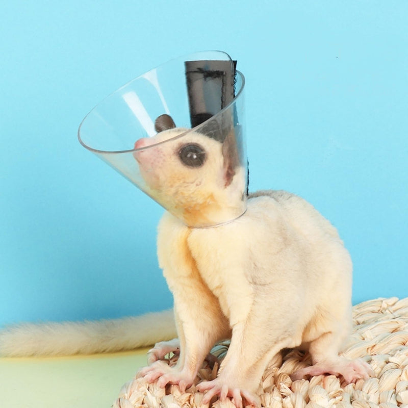 Sugar Glider Recovery Cone - Adjustable Protection Collar Soft Recovery Collar for Rat Bird Hamster Rabbit Guinea Pig After Surgery Wound Healing Elizabeth Neck E Collar for Small Animal (M (6-12cm)) M (6-12cm) - PawsPlanet Australia