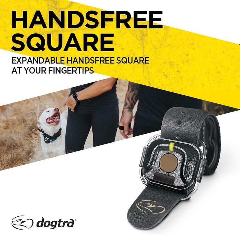 Dogtra HANDSFREE Square Expandable Remote Dog Training Device for Discreet Control Ergonomic Compatible with HANDSFREE Plus Models Expandable SQUARE Expandable 3rd Generation Boost & Lock - PawsPlanet Australia