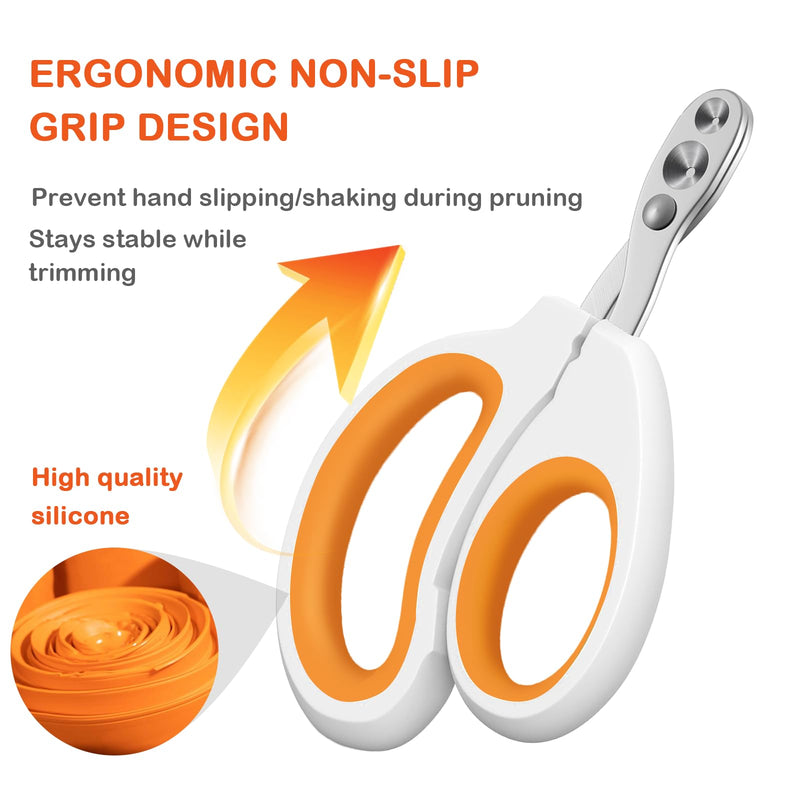Bearded Dragon Professional Clippers - Depth-Limited Dual Holes, Angled Groove & Non-Slip Handle for Safe Trimming (White) round hole scissors