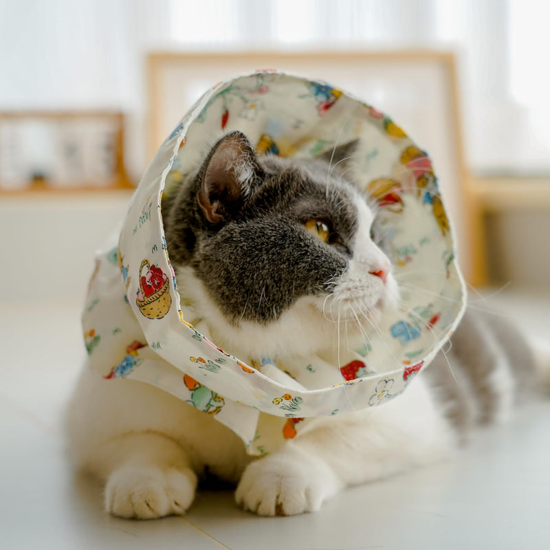 OMEM Soft Cat Cone for Post-Surgery Recovery, 100% Cotton, Adjustable and Foldable, E-Collar, Comfortable, Hand Washable, Prevents Wound Licking for Cats and Kittens (Berry)
