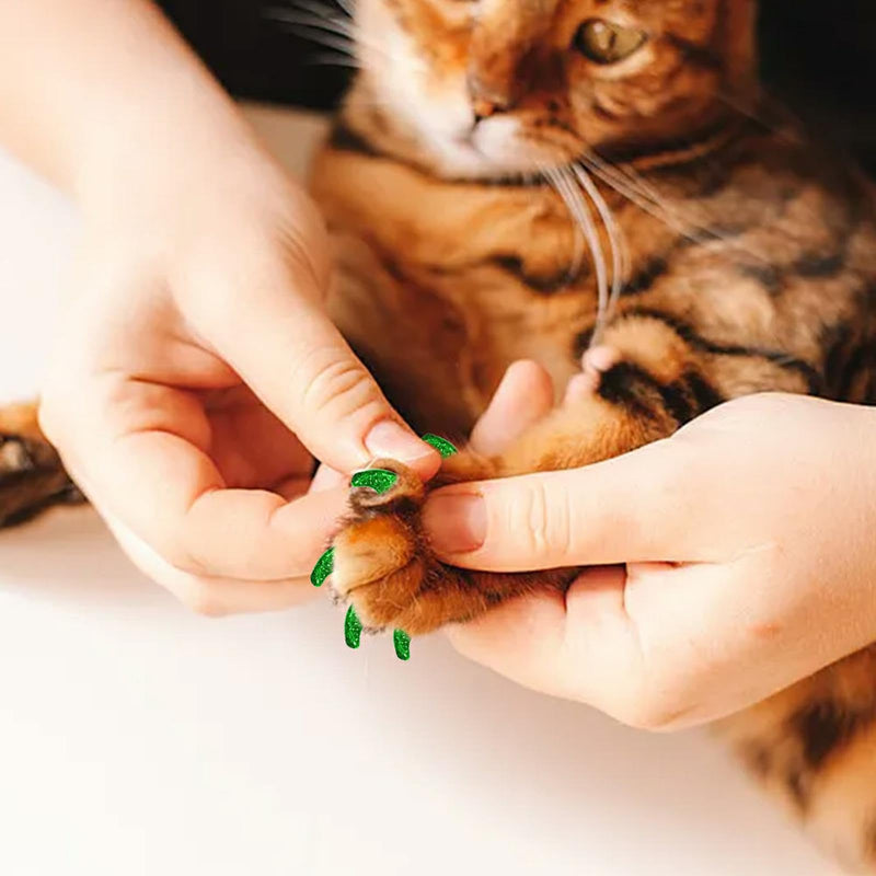 100Pcs Cat Nail Caps, 5 Colors Glitter Kitten Nail Caps with Adhesives and Applicators, Long-Lasting, Kitten Claw Caps for Medium Pets Cats Dogs, Cat Claw Caps for Protect Furniture Avoid Scratching - PawsPlanet Australia