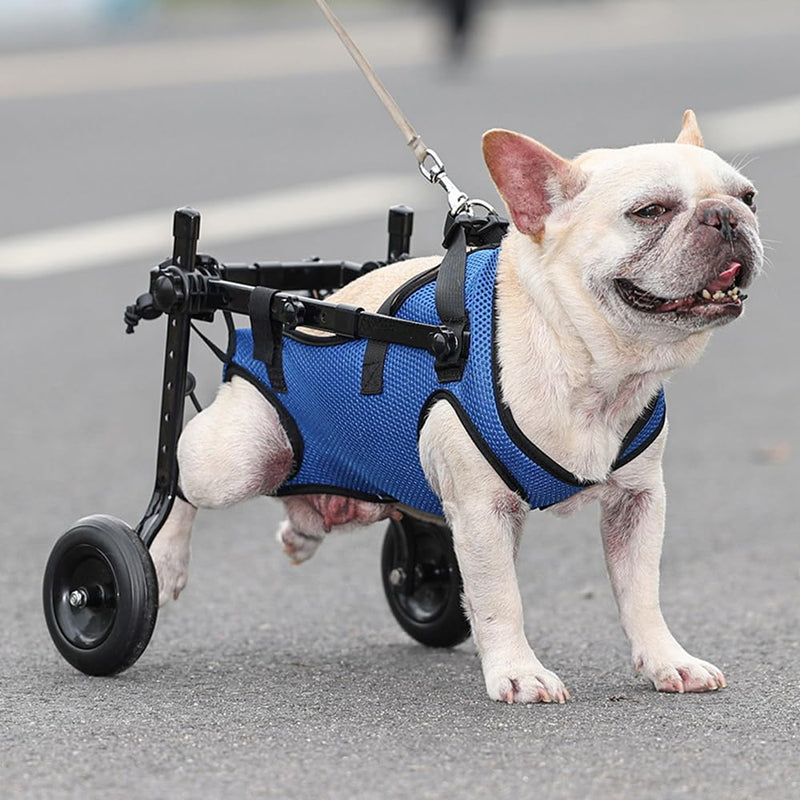 Dog Wheelchair, Adjustable Pets Cart Wheelchair for Back Legs,Dog Leg Brace and Hip Support, Assist Small Pets with Paralyzed Hind Limbs to Recover Their Mobility, Size M