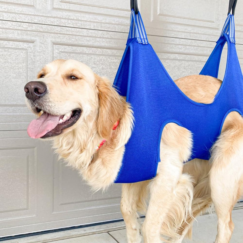 Pet Grooming Hammock Harness for Cats Dogs, Relaxation Pet Grooming Hammock Restraint Dog & Small Animal Dog Grooming Harness Bag (M（ Legs Spacing：4.7-12.6" / Max W：35-50LBS）, Blue) M（ Legs Spacing：4.7-12.6" / Max W：35-50LBS） - PawsPlanet Australia