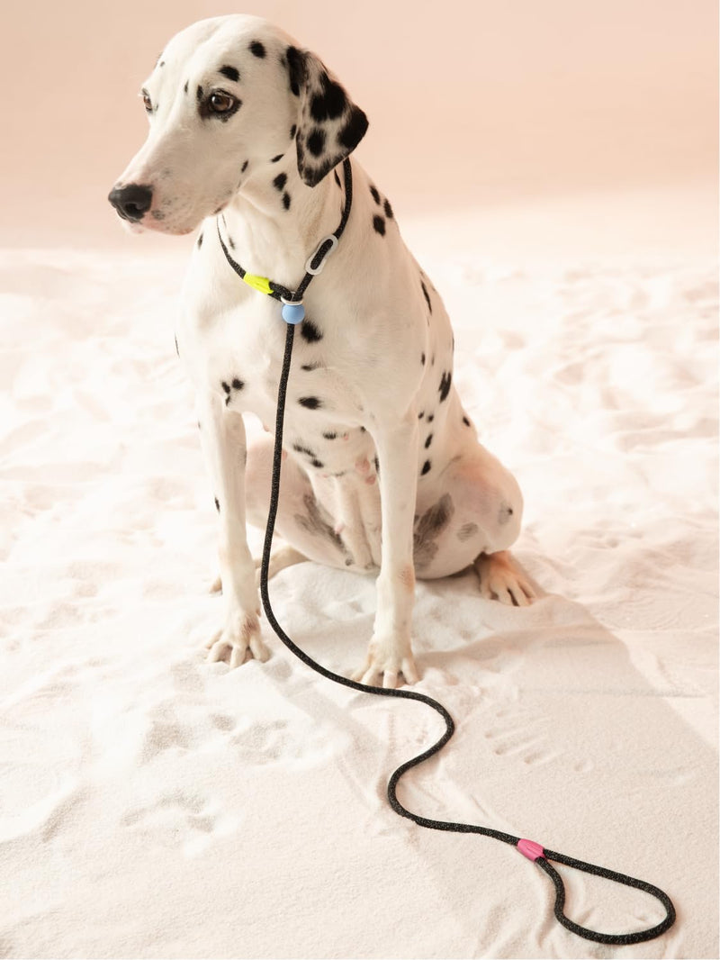 Slip Lead Dog Leash, Adjustable Slip Lead with Aviation Aluminum Anti-Choking Stopper, Lightweight Pet Training Lead Green-5Ft - PawsPlanet Australia