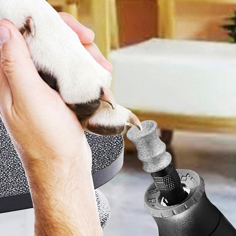 Diamond Dog Nail Grinder Attachment Bit for Dremel - 1/8" Rotary Nail Grinder Bit for Large Medium Small Dogs Nail Cares (B Model B - PawsPlanet Australia
