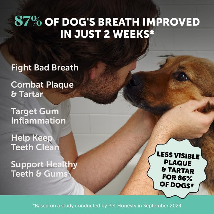 Dog Breath Freshener Dental Powder for Teeth Cleaning Plaque Off, Dental Care for Large Dogs, Tartar Remover for Teeth with Natural Herbal Blend + Postbiotics (Mint - 60 Servings) Dog Dental Powder Large Dog - PawsPlanet Australia