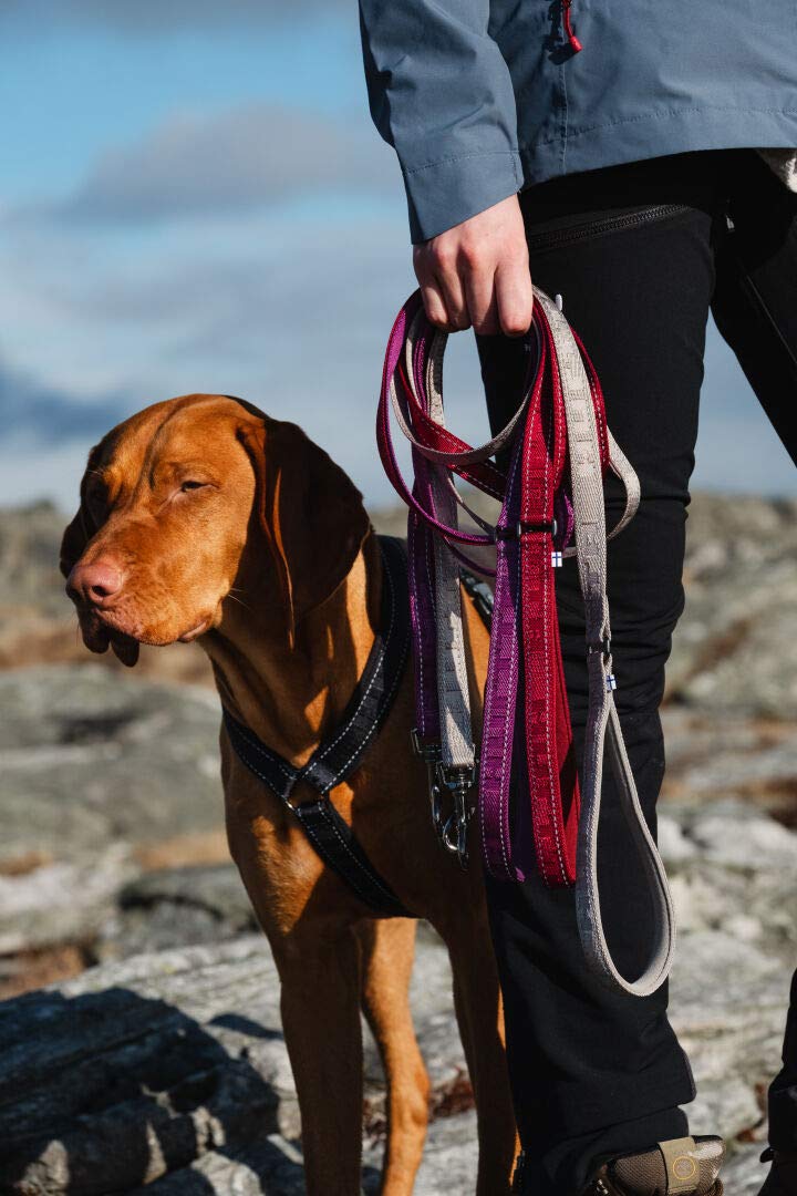 Hurtta casual reflective leash lingon 120 x 20mm - PawsPlanet Australia