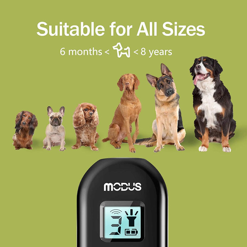 MODUS Ultrasonic Dog Barking Control Device,3 in 1 Sonic Bark Deterrent with LED Light Dog Training Tool&Behavior Aids, Rechargeable Anti Barking Device, Barking Silencer for Dogs(Indoor & Outdoor) Black - PawsPlanet Australia
