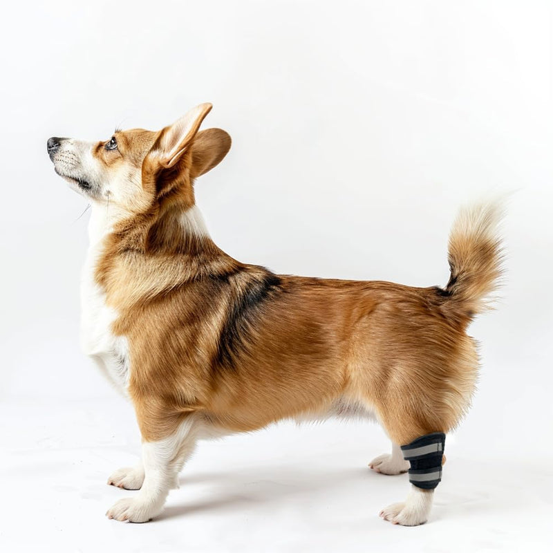 Dog Knee Brace for Torn ACL Hind Leg and Luxating Patella, Canine Rear Hock Joint Support, Joint Injury and Sprain Protection, Removable Design, Comes with 2 Spring Bars and 2 Steel Bars (XS Pair) XS - PawsPlanet Australia