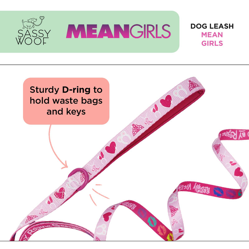 Sassy Woof Mean Girls Dog Leash 60-Inch with Neoprene Padded Handle - Comfortable, Durable, and Stylish for Small to Large Dogs - PawsPlanet Australia