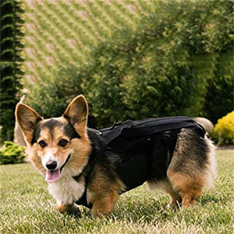 Dog Back Brace for IVDD,Pet Dog Back Brace Comfortable Full Body Harness Dog Clothing Dog Back Protector S