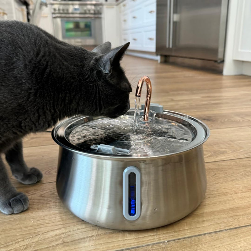 2.0 Large Capacity Stainless Steel Cat Water Fountain – 4L/135oz (Stainless Steel, 4L Corded) - PawsPlanet Australia