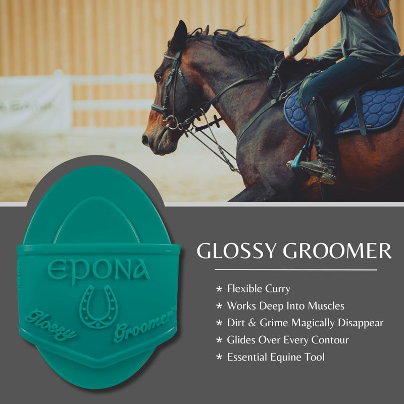 Epona Glossy Groomer (Turquoise) Horse Grooming Tool - PawsPlanet Australia