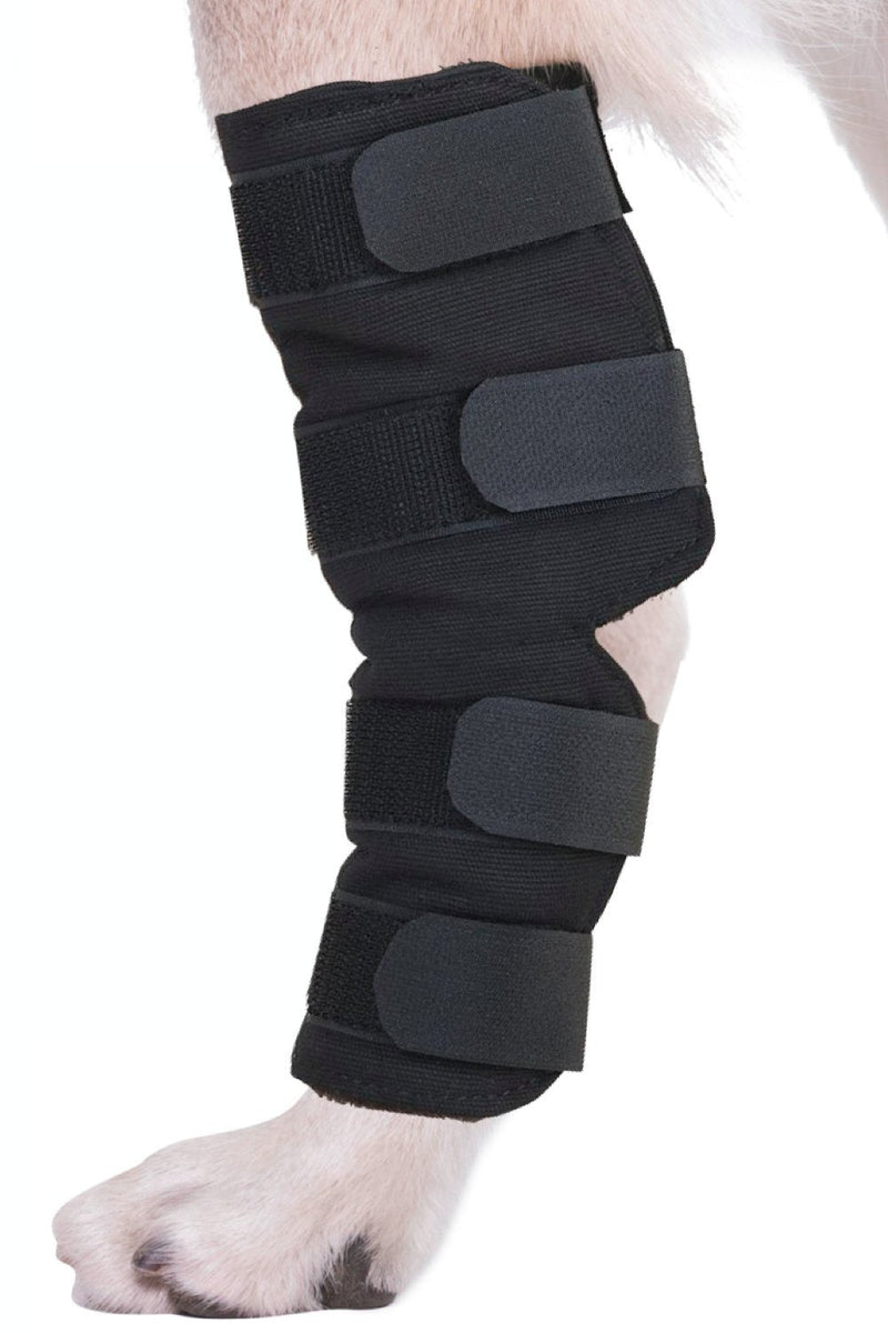 AGON® Dog Leg Braces for Back Leg wrap hock Compression Protects Wounds and Helps heal hind Legs Rear Ankle Joint, preventing Injuries, sprains Providing Stability for Dogs, Canines Arthritis (Large) Large - PawsPlanet Australia