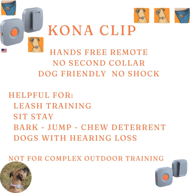Dog Training Collar with Remote Controller - E Collar for Dogs Training Small, Medium, Large Dog Training, Waterproof Dog Collar, Rechargeable Dog Training & Behavior Aids Dog Accessories - PawsPlanet Australia