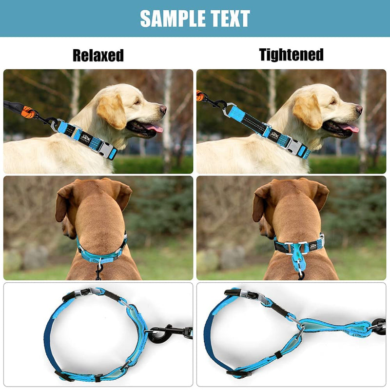 Colorful Martingale Collar for Dog Training -[Neoman] Safe & Humane Reflective Dog Collar for No Pull Training, Walking - Heavy Duty D-Ring, Quick-Release Buckle, Adjustable Clip Medium Collar:ZLCO007NMC/Blue - PawsPlanet Australia