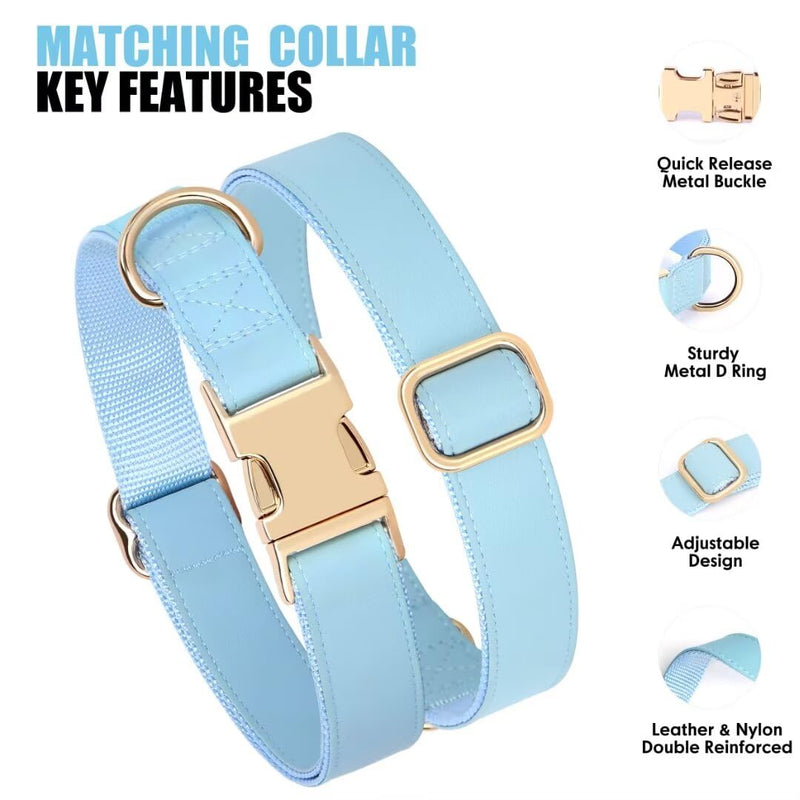 PET ARTIST Soft PU Leather Dog Collar and Leash Set, Bright & Stylish 5FT PU Leather Leash and Collar Set, Durable Pet Collars with Quick Release Metal Buckle for Medium Dogs,Blue,M(13-19") M: Fit 13-19" Neck Blue - PawsPlanet Australia