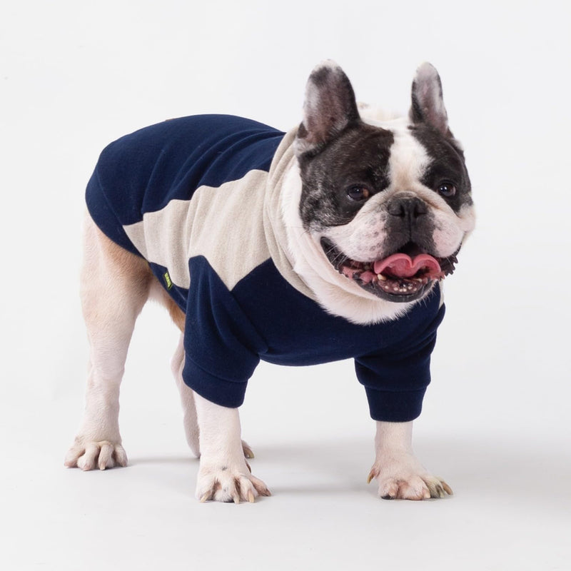 Fitwarm Color Block Dog Hoodie Sweater, Winter Clothes for Small Dogs Boy Girl, Lightweight Pet Sweatshirt, Midnight Blue, Beige, XL X-Large - PawsPlanet Australia