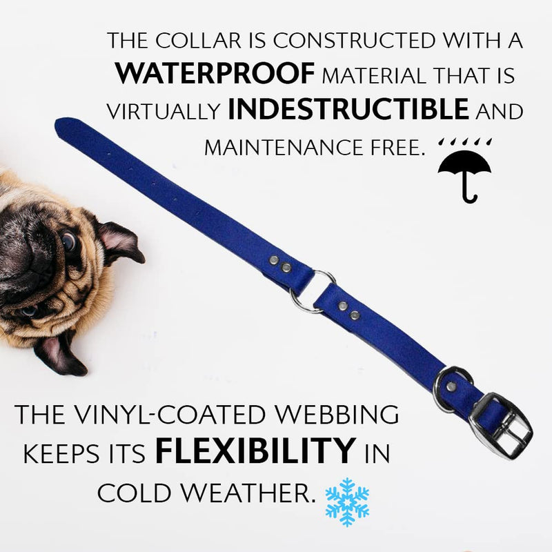 Regal Dog Products Large Blue Waterproof Dog Collar and Leash Set | Heavy Duty Double Buckle & D Ring - 5'ft Leash | Adjustable Biothane Dog Collar | Chew Resistant Waterproof Collar for Dogs Large Collar & Leash