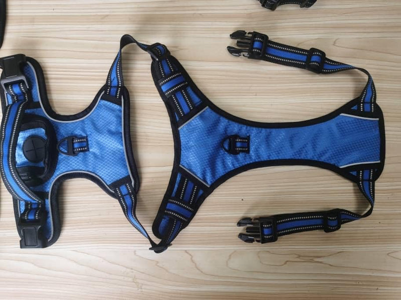 ROOSK Dog Harness | No-Pull, Reflective, 4-Way Adjustable w/Poop Bag Holder | Ultimate Comfort, Soft, Padded Waterproof Oxford w/Airmesh | 2 Leash Clips (Teal Blue, Medium) M Teal Blue - PawsPlanet Australia