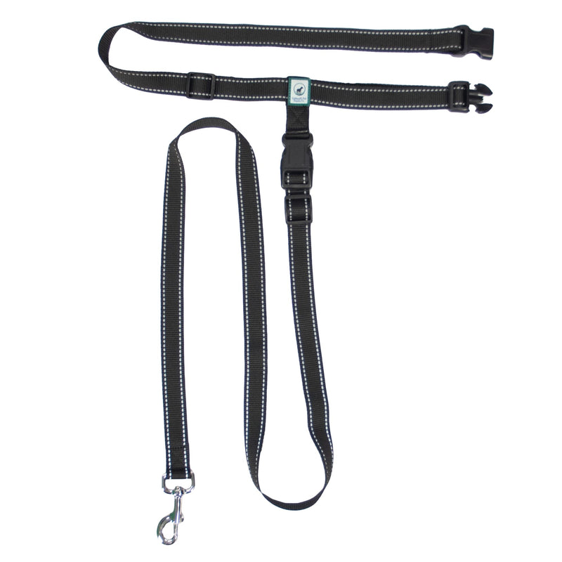 Running Leash for Dogs - Hands Free Dog Leash for Training, Hiking & Walking - Non Bungee for More Control - Around The Waist Dog Leash Belt for Small Medium or Large Dogs - PawsPlanet Australia