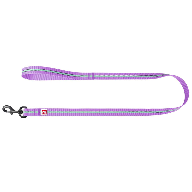 Nylon Reflective Dog Leash 4 Ft - PawsPlanet Australia