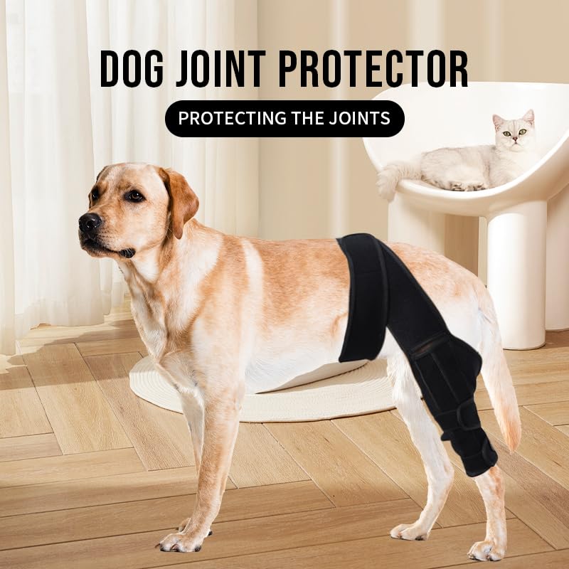 Adjustable Dog Knee Braces for Back Leg Stabilizer Support for ACL Patella Injury Arthritis Post Surgery Recovery(Black M) Medium