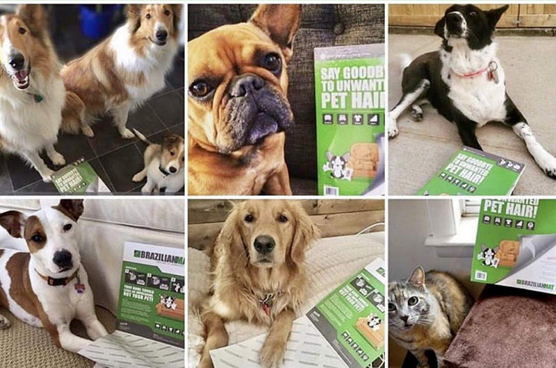 Dog, Cat Hair Remover Sheets - Pet Hair, Lint, Glitter and Pet Fur Removal Tool for Furniture, Clothing, and Car Interiors (25 Sheets) 25 Sheets - PawsPlanet Australia