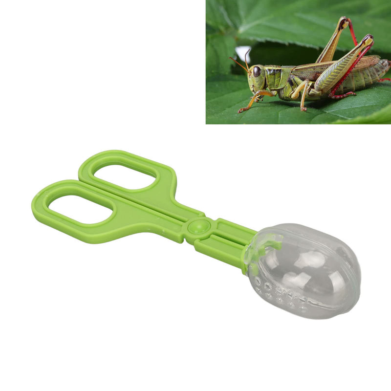Reptile Feeding Clamp Poop Tongs Reptile Feeding Tool Reptile Poop Scoop with Vents for Tortoise Lizard Spider (Green) hamster poop scoop - PawsPlanet Australia