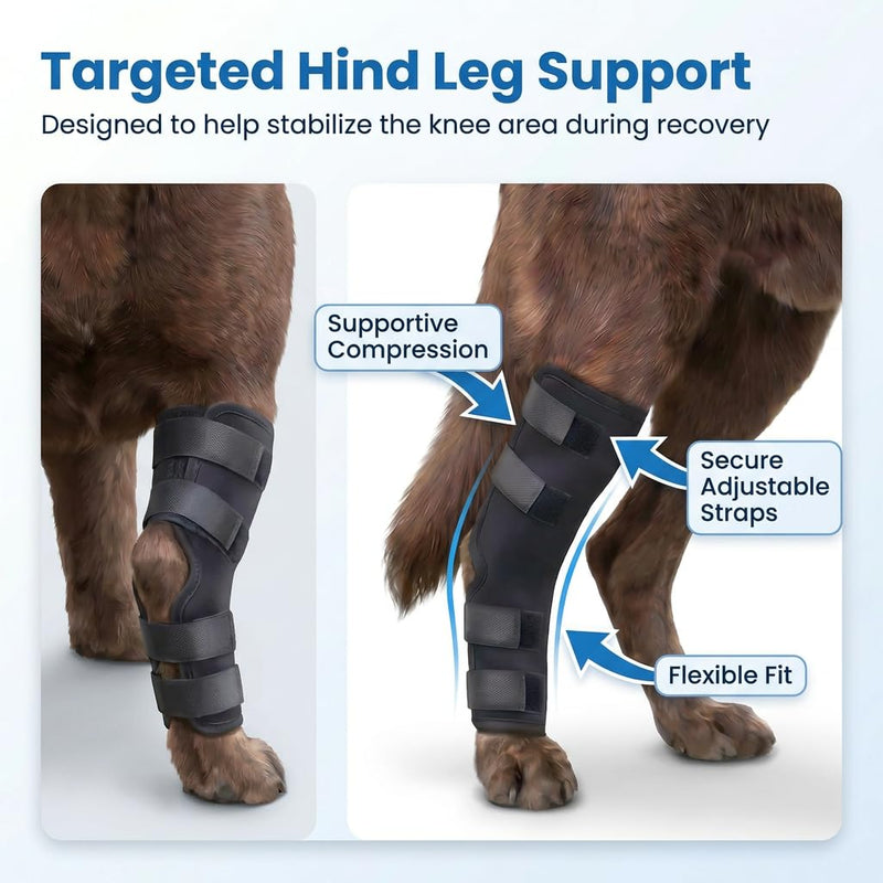 Dog Knee Braces for Back Leg, Dog Leg Brace Back Leg Support, Dog ACL Brace Hind Leg, Dog Knee Brace for ACL Tear Back Leg, Hip Dysplasia Brace, Hind Leg Support for Senior Dogs (Black, S) Black