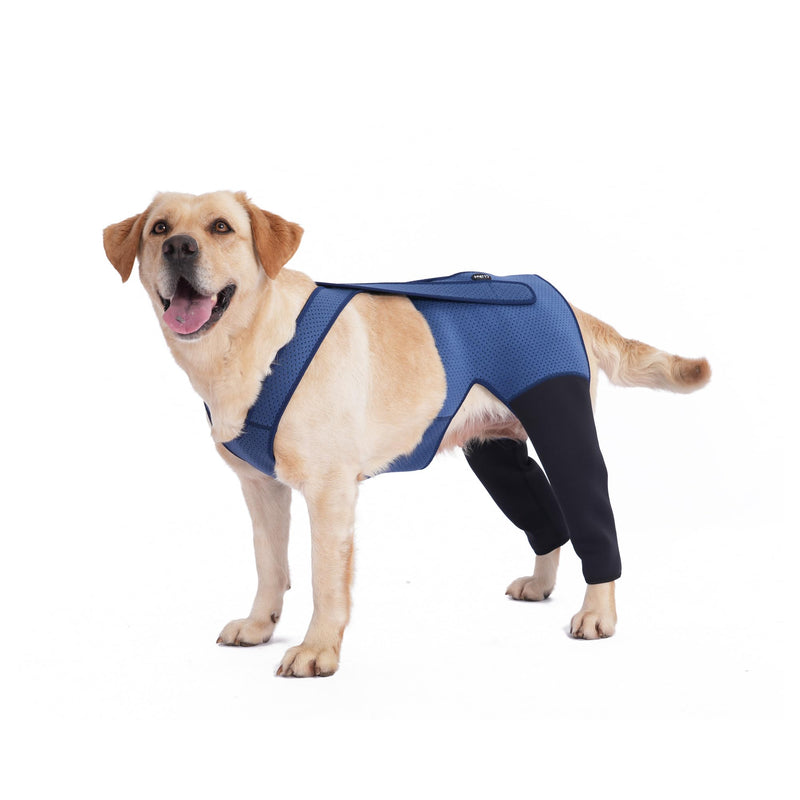 Dog Hind Leg Recovery Sleeve Dog Recovery Suit as Cone Collar Alternative, 2.5mm Thick and Waterproof, Prevent Pet Wounds Licking, Biting (XXLarge) XXLarge