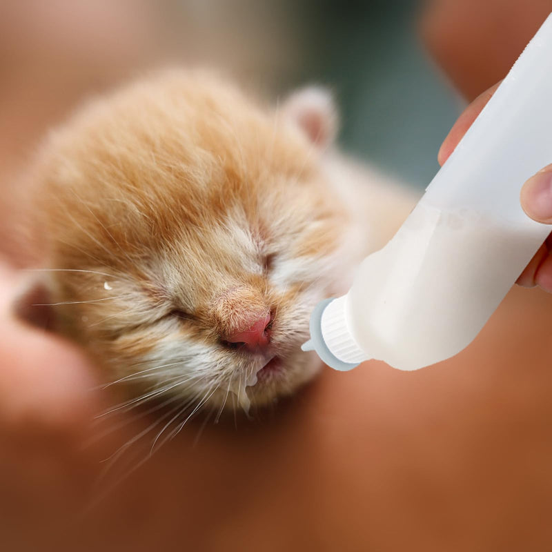 5Pack Kitten Bottle for Nursing Puppy Milk Kitten Bottles Feeding Kit Silicone Nipple for Newborn Pets Kittens, Puppy,Squirrel (Grey) - PawsPlanet Australia