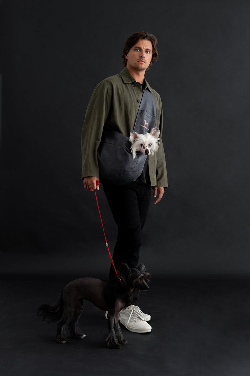 Noah & Paw Dog Sling Carrier for Small Dogs 3-10lb, Dog Sling for Small Dogs and Cats, Dog Carrier with Adjustable Padded Strap, Vegan Leather Lined with Fur, 3x Safety Features, Machine Washable Charcoal 38 cm L x 15 cm W x 14 cm H