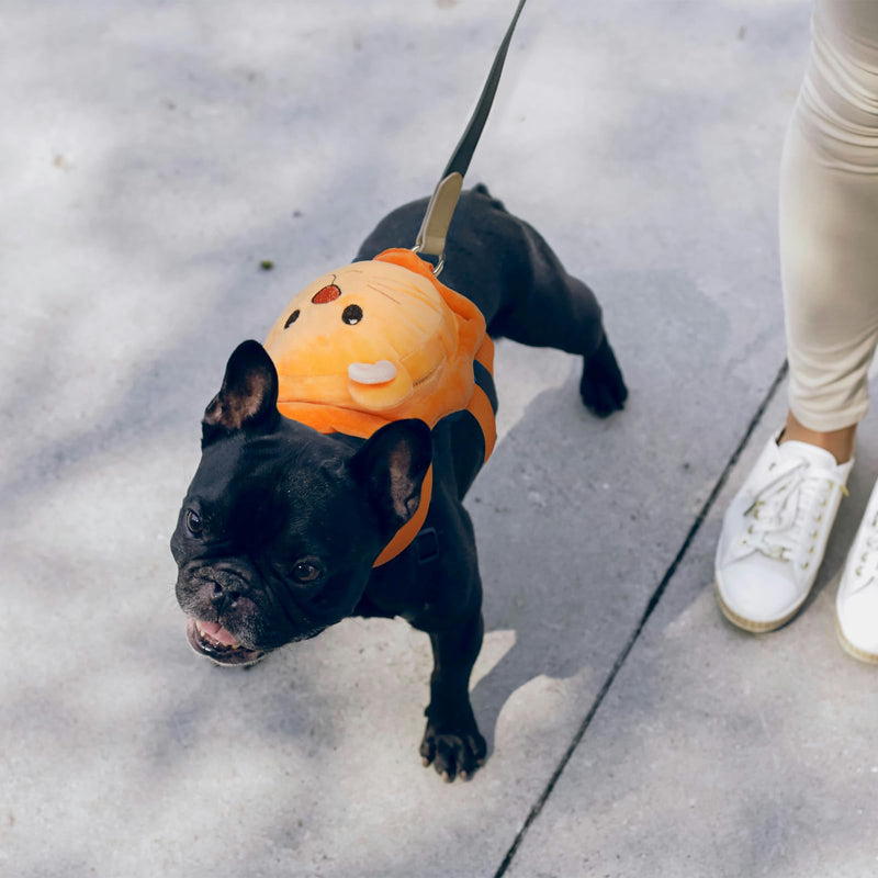 ROZKITCH Dog Backpack Harness, Soft and Adjustable Pet Saddle No Pull Bag with D-Ring for Small Medium Dogs, Cute Lion Design for Outdoor Travel, Walking, and Hiking Animal Self Carrier Bag S S(Chest: 13.7-17.3"; Neck:10.2-12.6") - PawsPlanet Australia