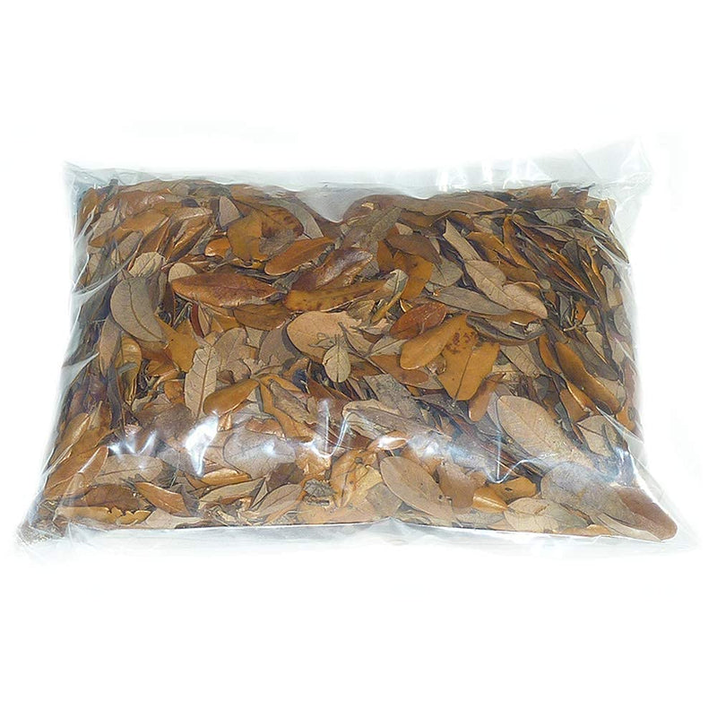 Premium Live Oak Leaf Litter Isopod Substrate Terrarium Bedding (1 Gallon) 1 Gallon