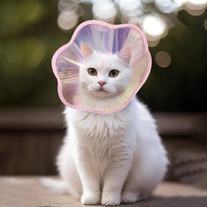 Andiker Cat Cone Collar, Laser Folding Elizabeth Collar for Dogs and Cats to Stop Licking Scratching Wounds Soft Lightweight Waterproof Cat Recovery Collar After Surgery (Purple, S) Purple